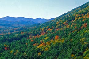 The Oachita Mountains ablaze with Fall colors.